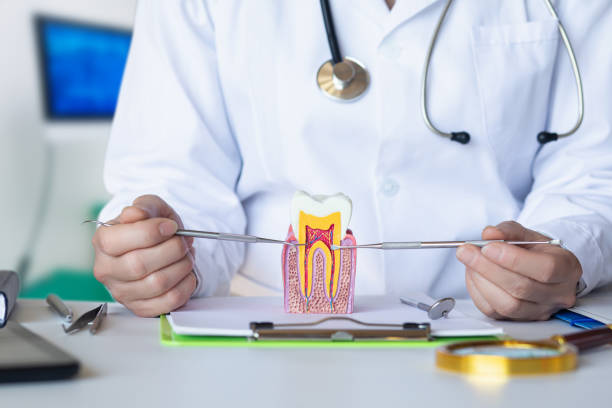 Best After-Hours Emergency Dentist in Fraser, MI